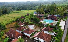 Joglo Ijen Banyuwangi